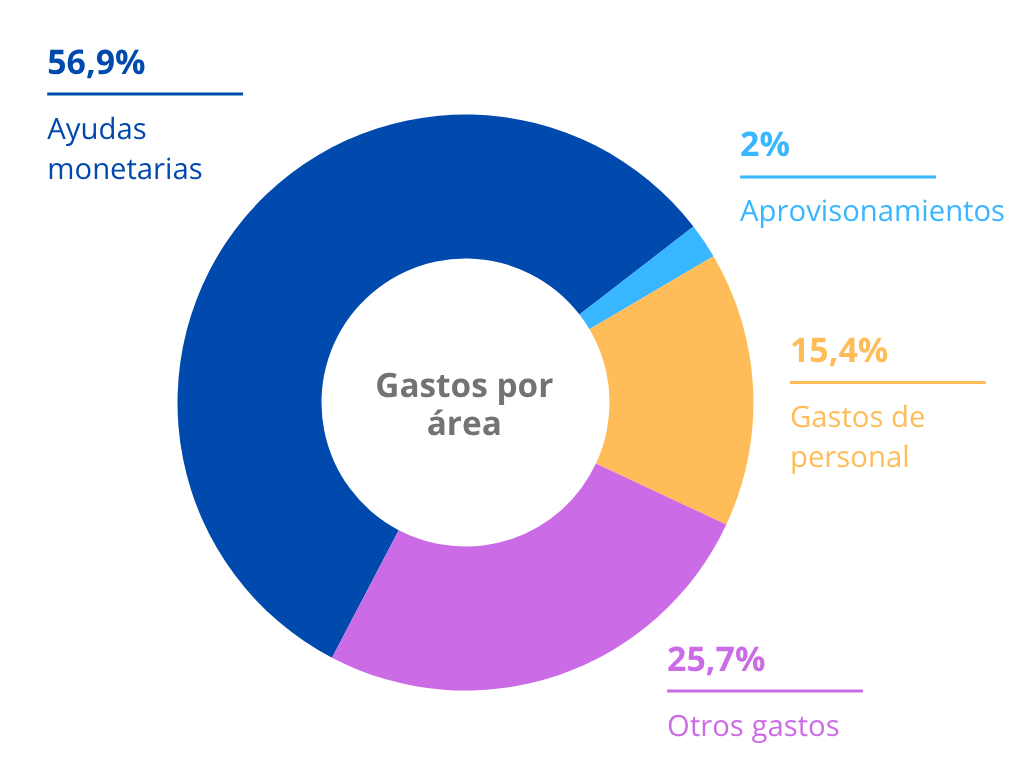 Datos Memoria Social 2024 (Gastos por área)