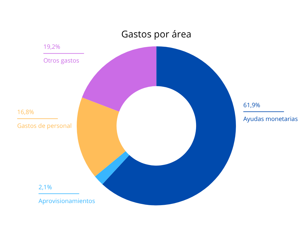 Datos Memoria Social 2024 (Gastos por área)
