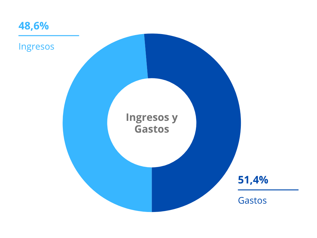 Datos Memoria Social 2024 (Ingresos y Gastos)