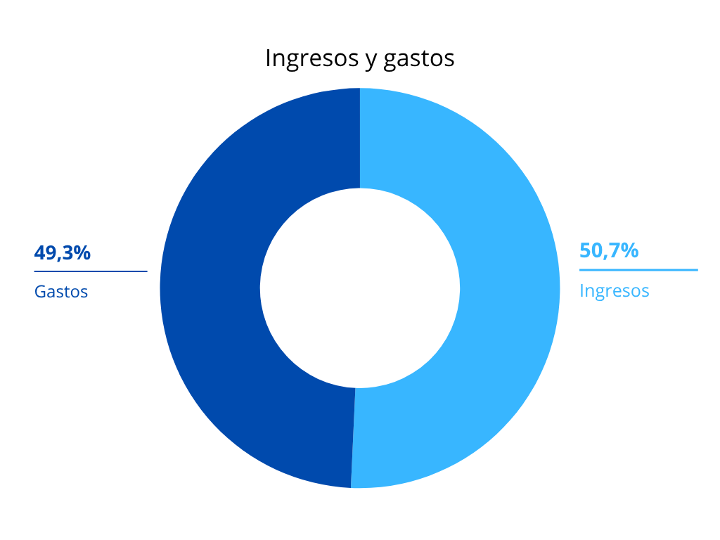 Datos Memoria Social 2024 (Ingresos y Gastos)