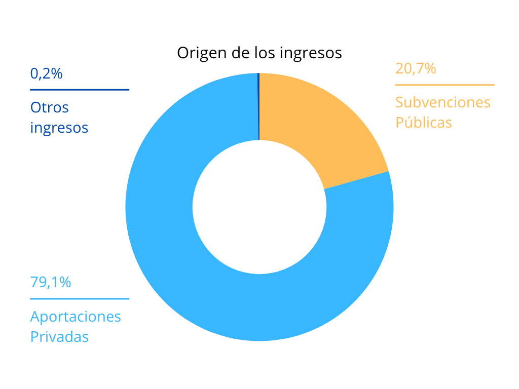 Datos Memoria Social 2024 (Origen Ingresos)